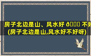 房子北边是山、风水好 💐 不好(房子北边是山,风水好不好呀)